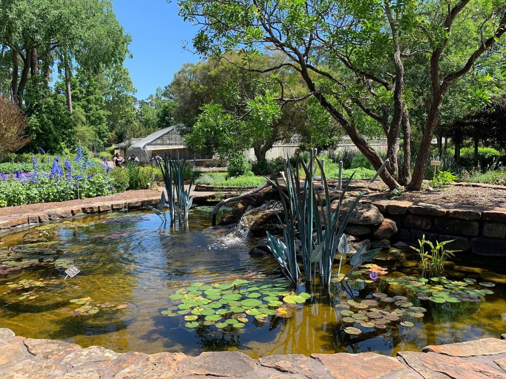 Houston’s Best Places for April Wildlife and Festivals - H-Town HotShot